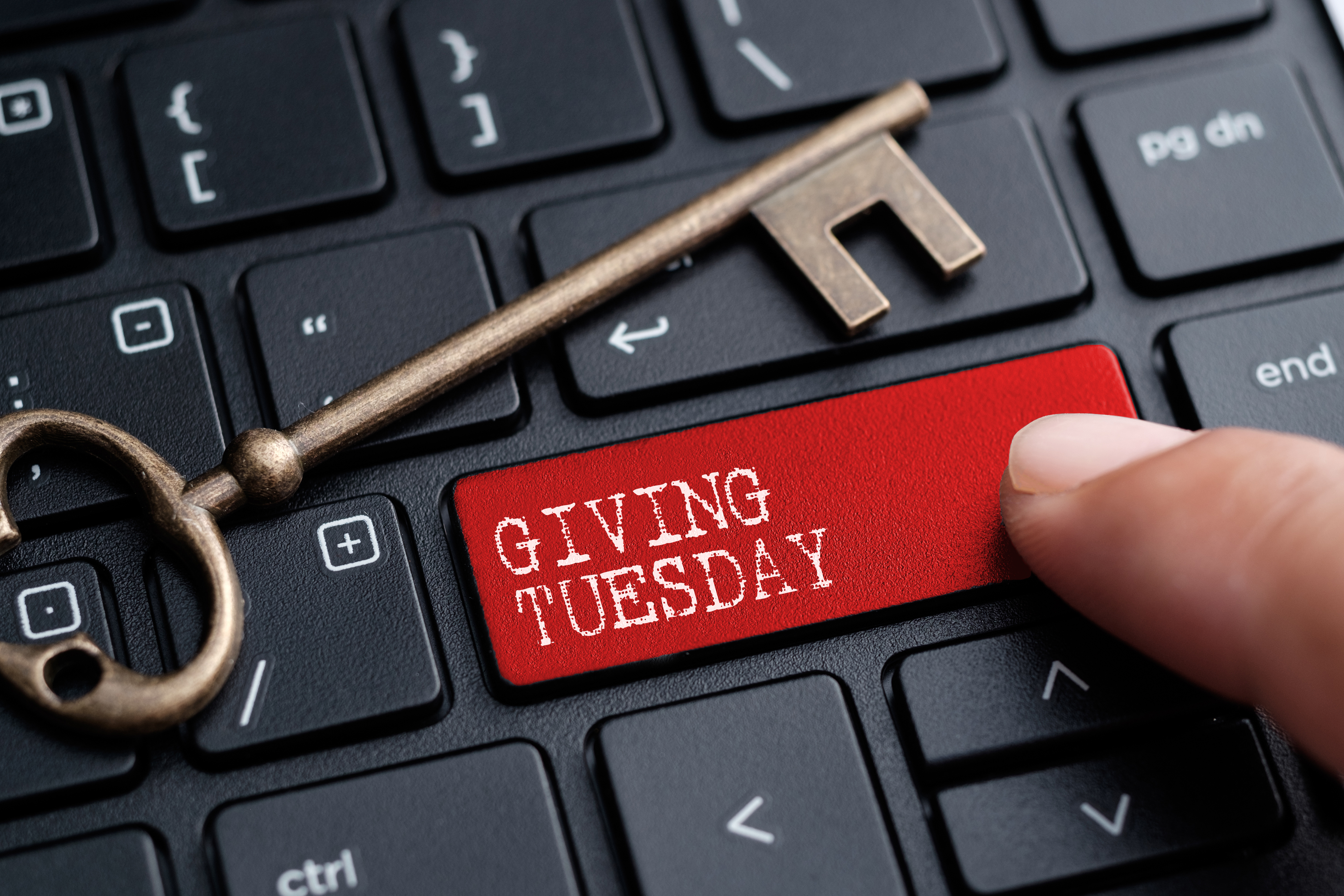 Giving Tuesday Button